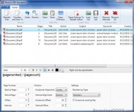 Hexonic PDF Numberer screenshot